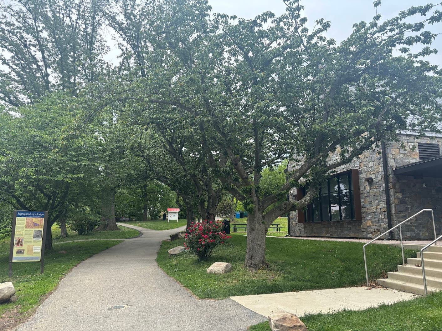 A path through Lafayette-Pointer Park with blooming azaleas